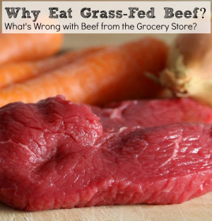 Why Eat Grass-Fed Beef (or, What's Wrong with Beef from the Grocery ...