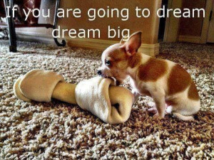 Dream big quote dog bone cute funny