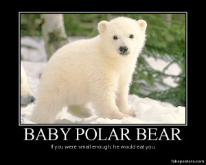 Baby Polar Bear Meme