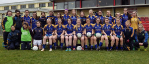 Tipperary Ladies Gaelic Football Notes