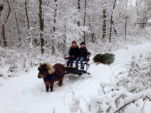 Related Pictures carousel horse coloring page