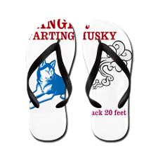 Funny Maternity Shirt by Leslie Harlow Flip Flops