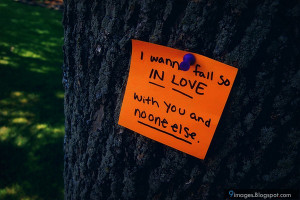 Quote, paper, art, tree, love
