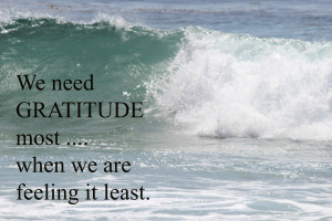 Saturday quote...gratitude...