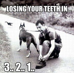 dentist, NOW!!! - Image