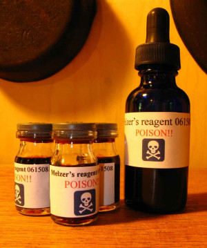 ... Pictures to kill a mockingbird quotes atticus finch page numbers