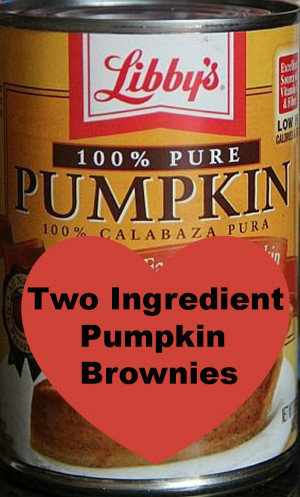 Two Ingredient Pumpkin Brownies