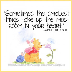 Found on scontent-b-iad.xx.fbcdn.net