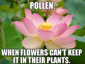 Allergies. Your body is just jealous.