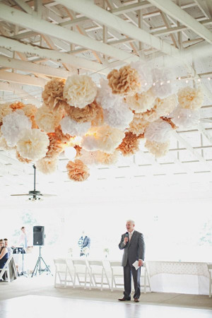 Inexpensive yet beautiful pom poms! Super cute idea in any colors!