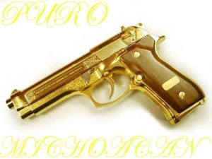 All Graphics » Puro Michoacan