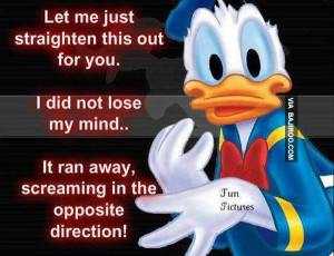 funny donald duck pictures 19