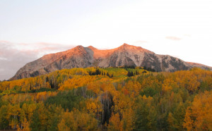 Most Impressive Quotes Love