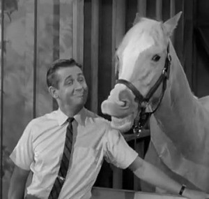 ... graceful arc provides a splendid excuse for general merriment