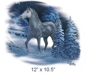Gmha White Horse Winter Snow