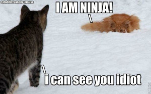 am a ninja!