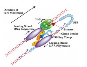 Some Perspective on the 