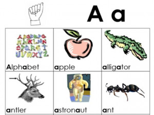Things That Start with Letter A