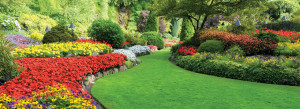 With Local Services, all your landscaping needs will be taken care of ...