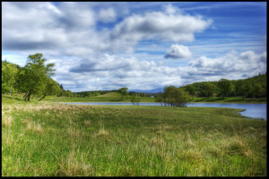 Photography Animals Plants