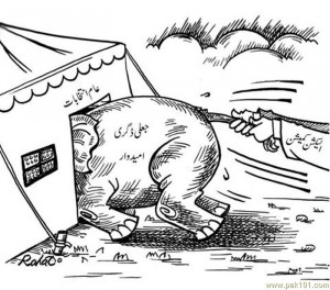 Pakistani Election 2013