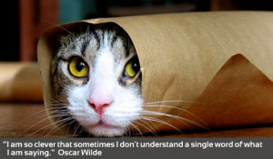 ... 10 Favorite Philosophical one-liners- Best One Liner Philosophy Quotes