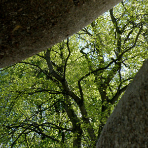 Leave a Reply Cancel reply