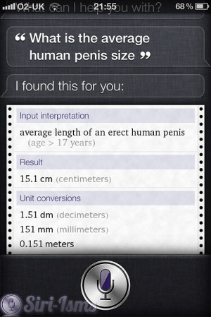 What Is The Average Human Penis Size?~ Funny Siri Sayings