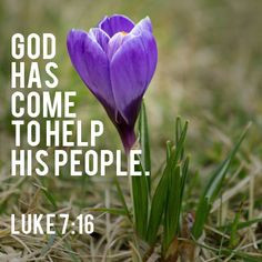 God has come to help His people. [Luke 7:16] Then fear came upon all ...
