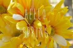 spring #flowers #cute #summer #fun #life #quote #quotes #words