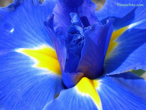 Funny Quotes Contact Dmca...