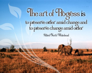 ... amid change and to preserve change amid order ~ Inspirational Quote