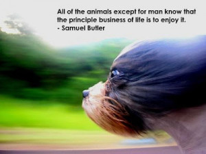 Inspirational and Motivational Posters