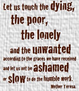 Not ashamed or slow, or afraid.