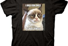 grumpy-cat-i-had-fun-once-wallpaper-grumpy-cat-i-had-fun-once-shirt-hd ...
