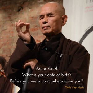 Thich-Nhat-Hanh-20140607-165024.png