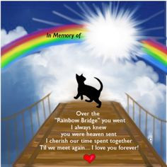 ... to honor a very special cat who crossed over the 