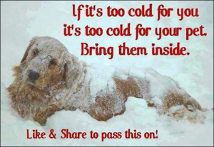 Your Pets quotes winter cold pets
