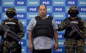 view original image )