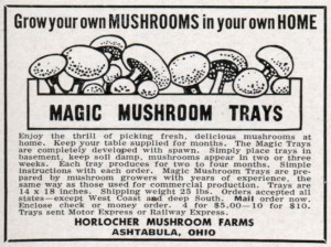 mgis mushroom trays Image