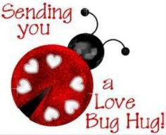 bug hug quote via carol s country sunshine on facebook more big hug ...