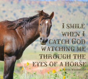 Cute Horse Quotes