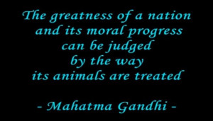 Animal Quote - Mahatma Gandhi