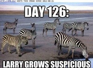 Funny Quotes About Zebras | Funny Wallpaper | Funny Picture | Funny ...