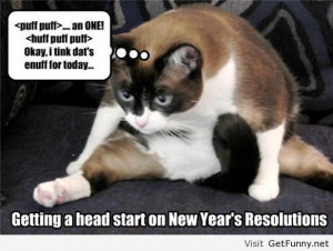 funny fat cat pictures with wordsSiberian Husky Puppiessiberian Husky ...