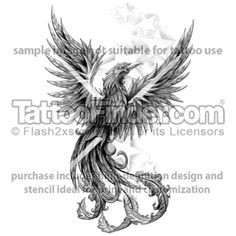 TattooFinder.com : Star Struck Phoenix tattoo design by David Knapp ...