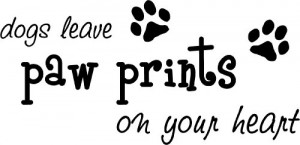 ... leave paw prints on your heart cute puppy wall art wall sayings quotes