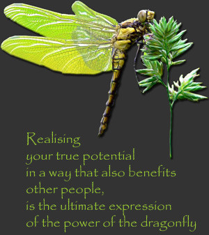 Dragonfly Quotes Image...