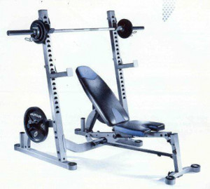 Nautilus olympic bench squat rack bench olympic weight