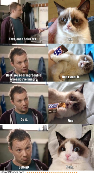 grumpy cat has a snickers advert